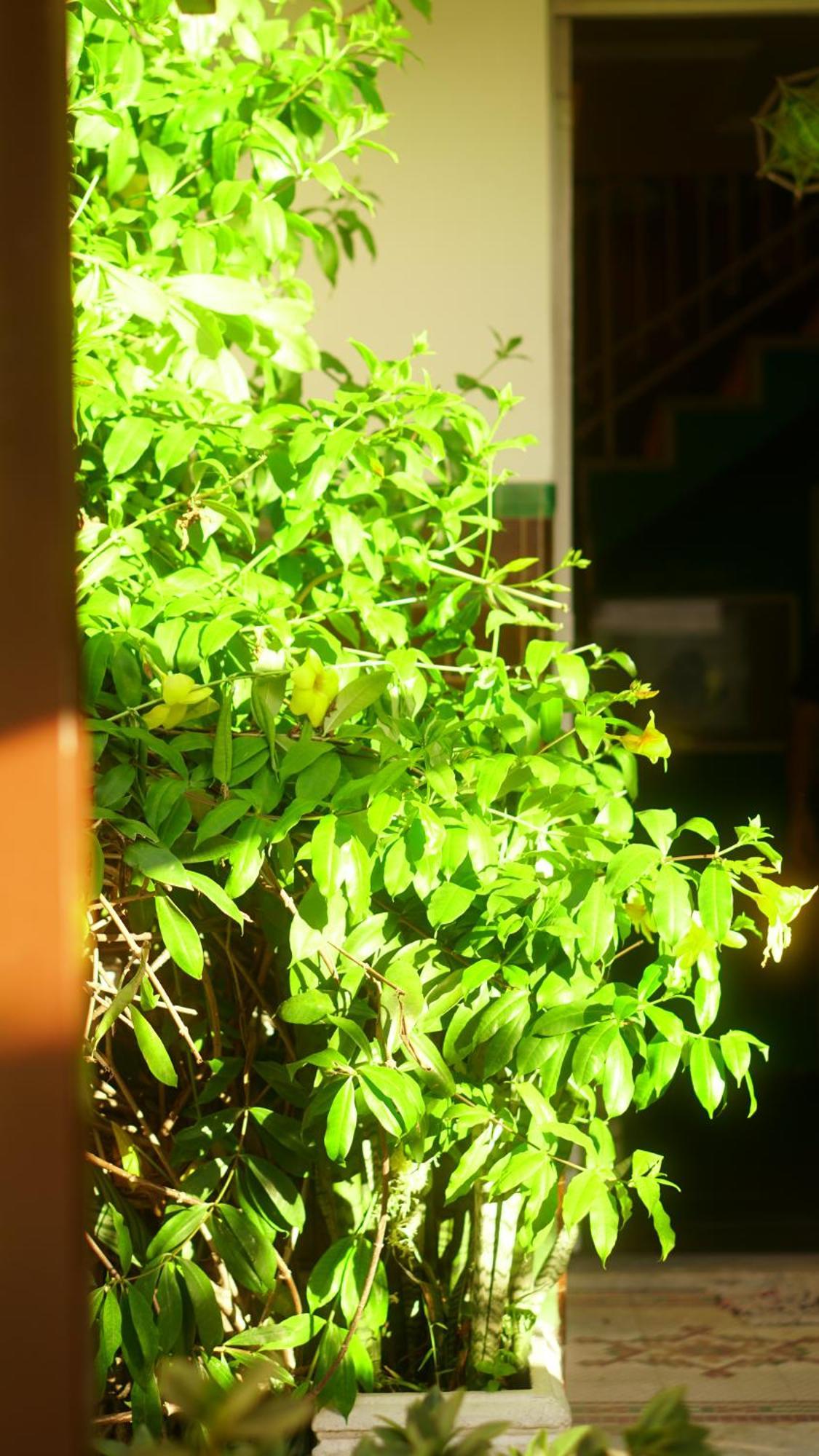 Poa Eco Hostel Porto Alegre Luaran gambar